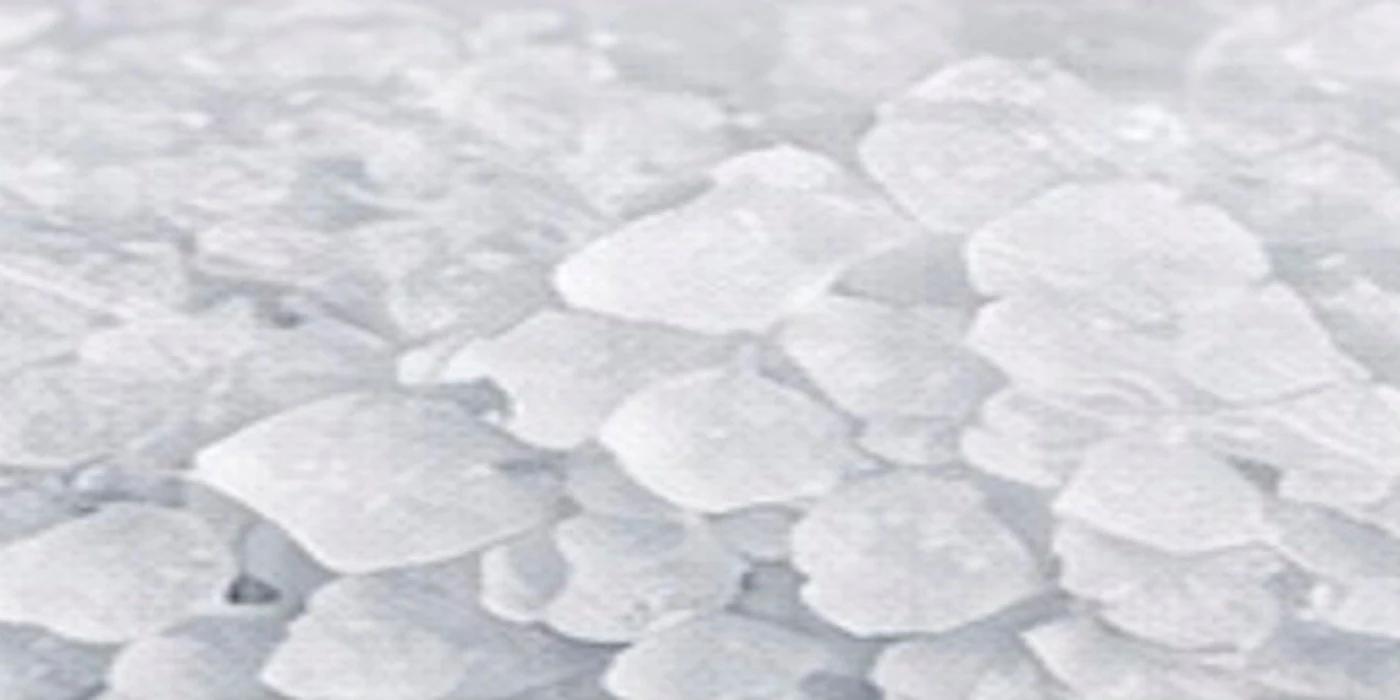 Hielo en escamas